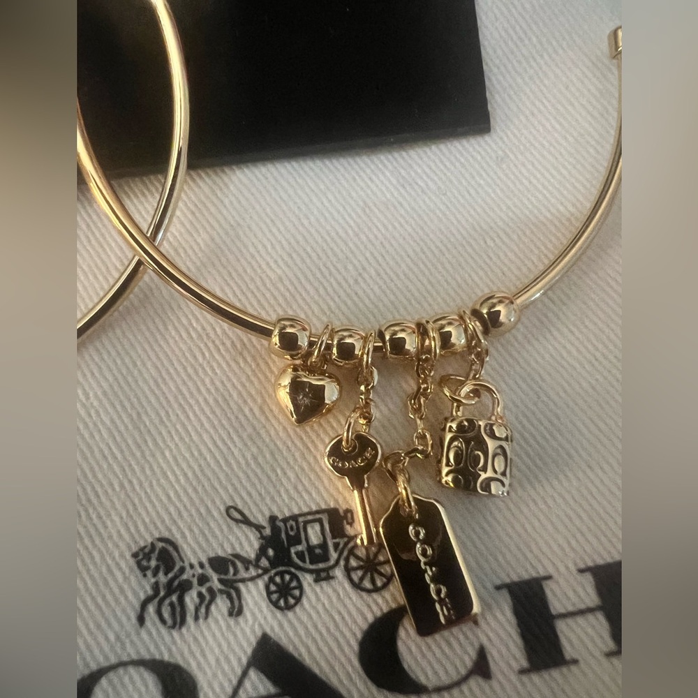 Coach Iconic Charm Hoop Earrings (NWT) - Picture 3 of 6
